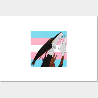 Transgender Pride Sol Posters and Art